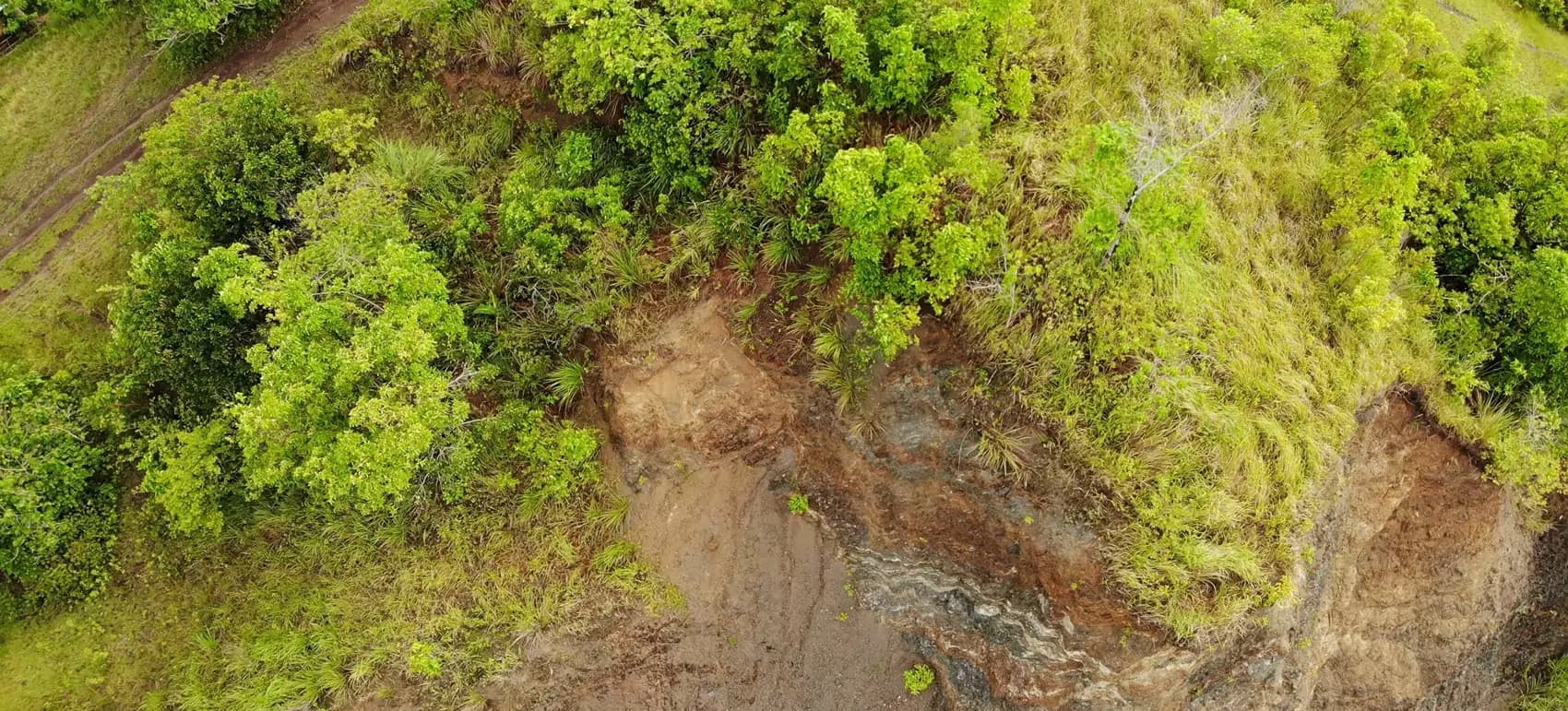 Alicia Schist banner