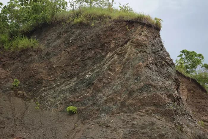 Alicia Schist banner