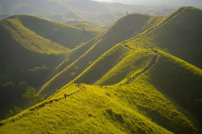 The Alicia Panoramic Park banner