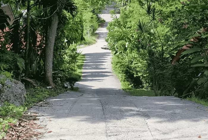 Baclayon Ancient Uplifted Terrace banner