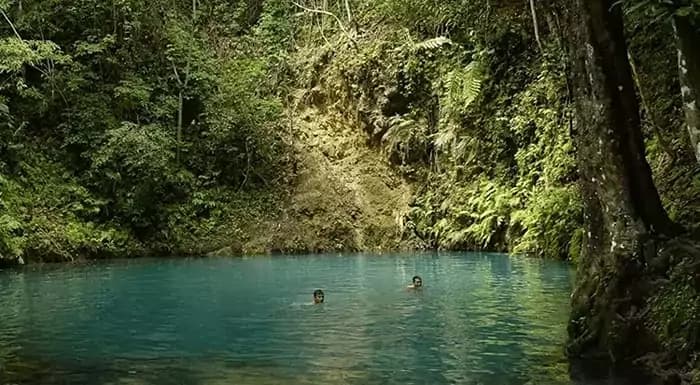 Canawa Cold Spring banner