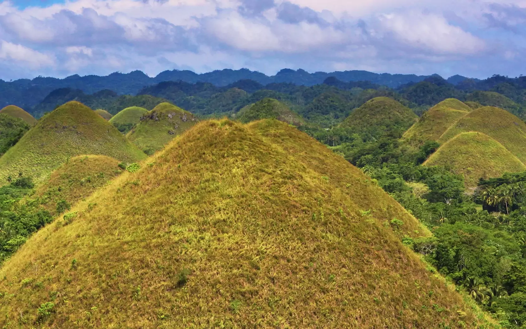 Chocolate Hills banner