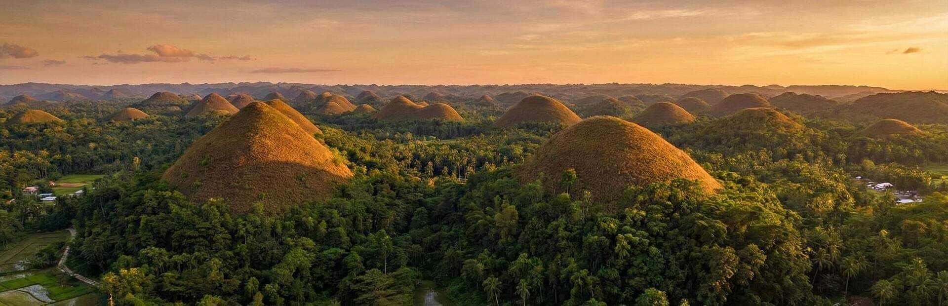 Promote Your Business in Bohol banner