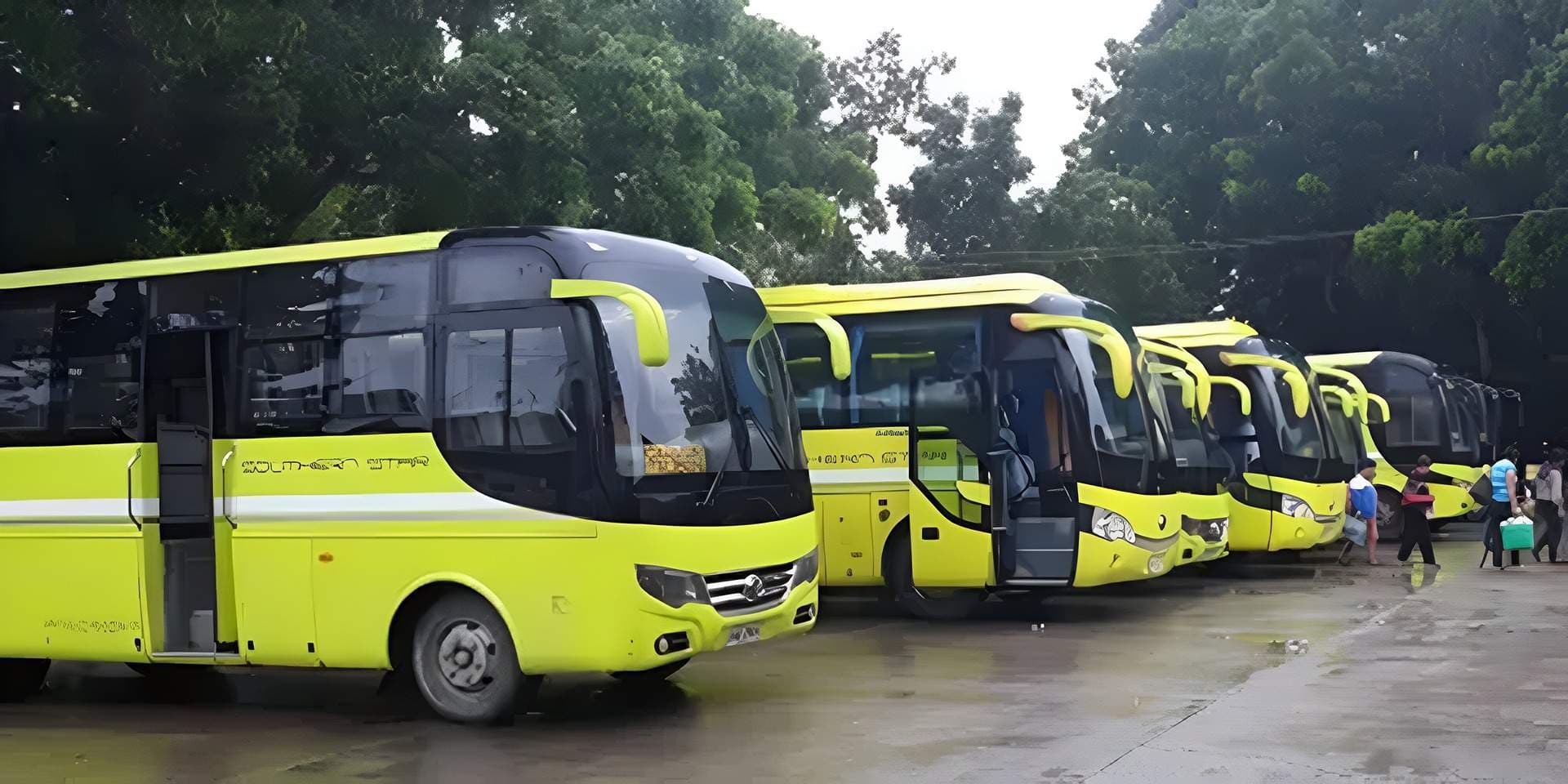 Bohol Bus Schedules banner