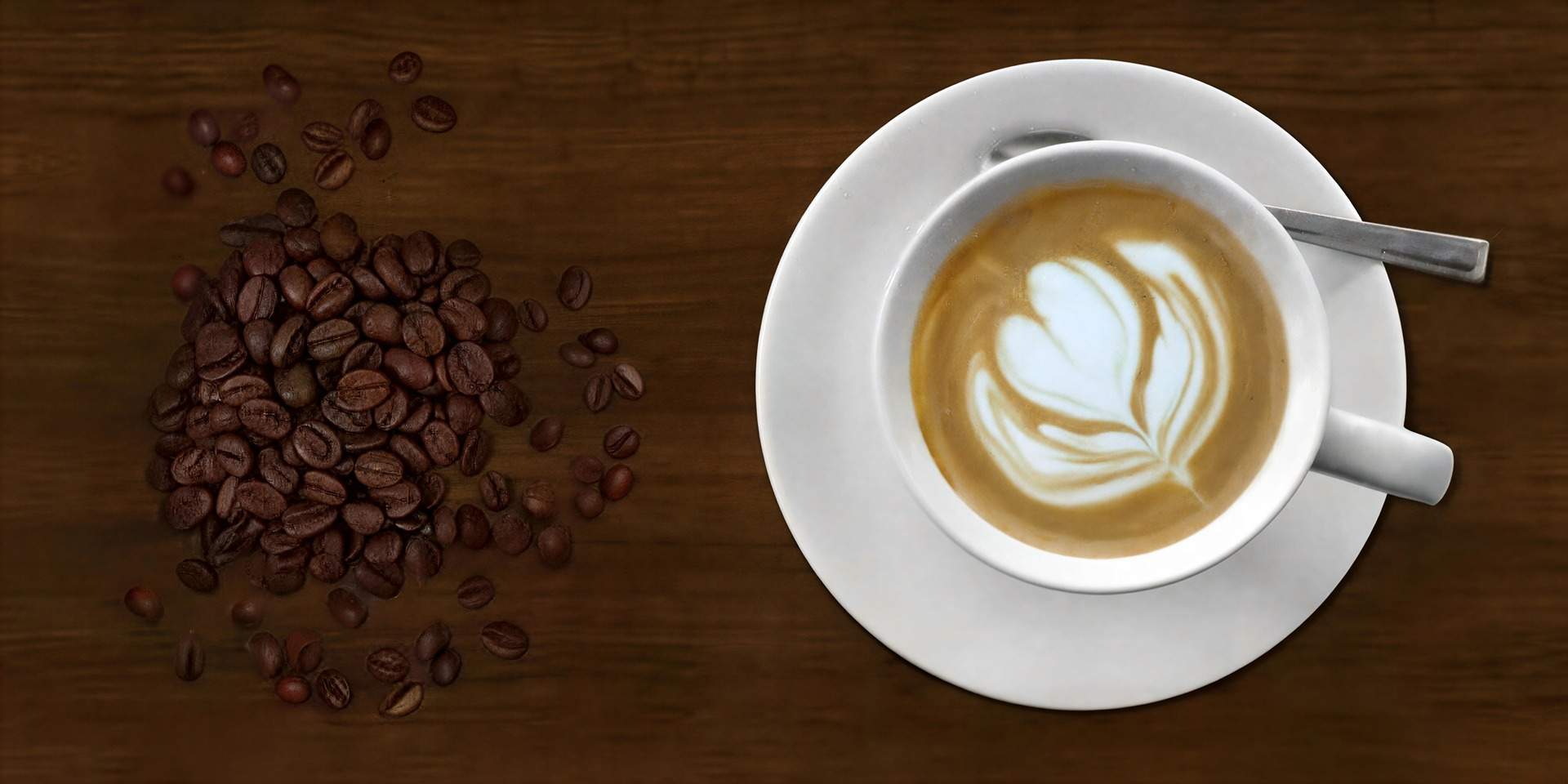 Bohol Coffee Shops banner