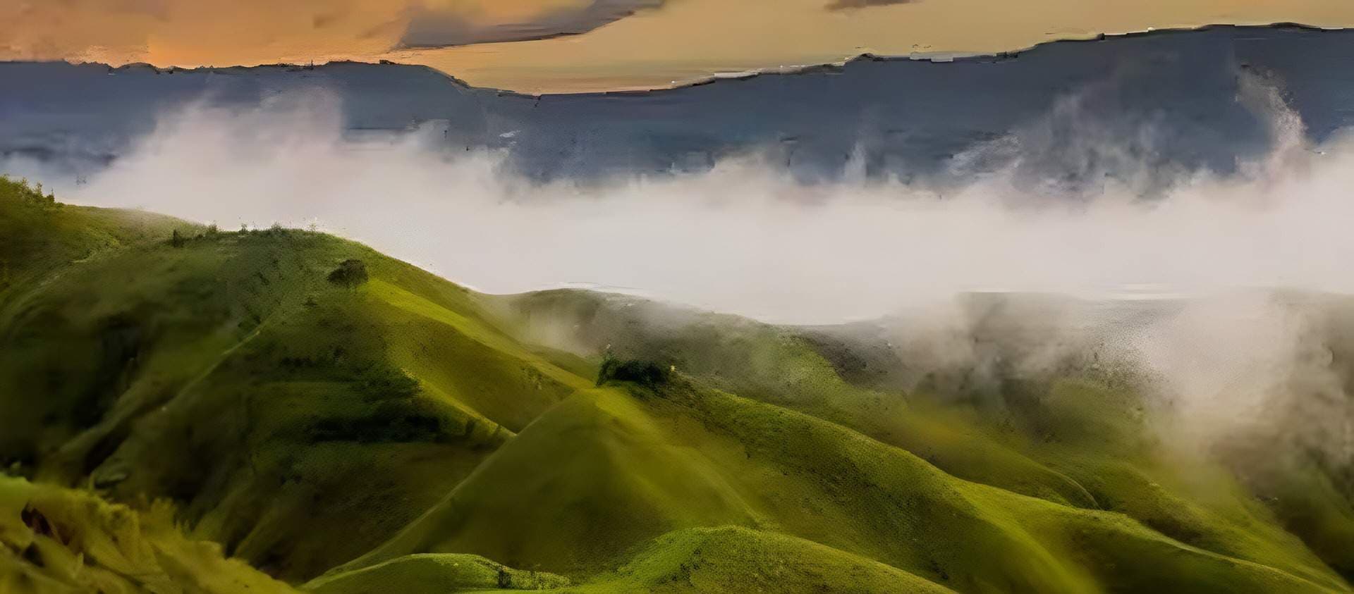 Bohol Eco Tourism banner