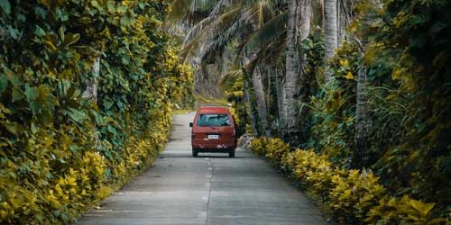 Eco Tour Packages banner